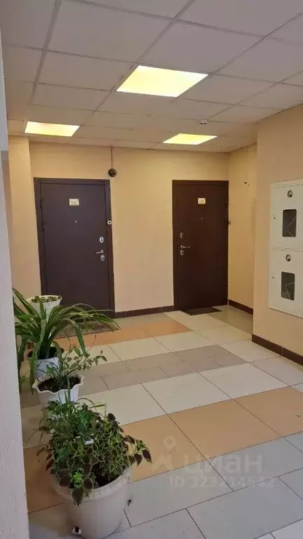 2-к кв. Новосибирская область, Новосибирск Вилюйская ул., 17 (69.6 м) - Фото 1