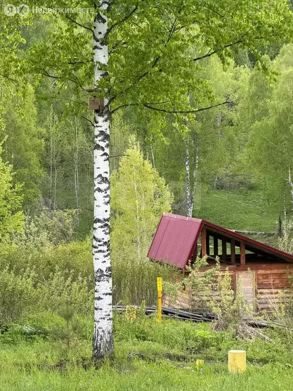 Участок в Горно-Алтайск, Ойрот-Туринская улица (5 м) - Фото 2