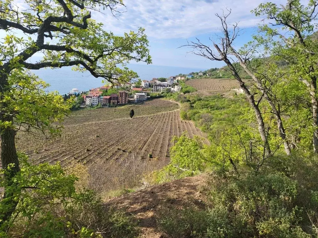 Участок в Крым, Алушта муниципальный округ, с. Лазурное ул. Слуцкого, ... - Фото 2