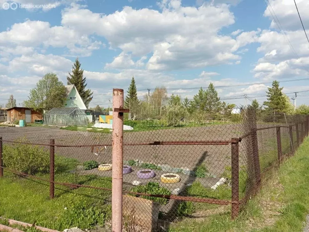 Участок в Тюмень, садовое товарищество Царево, Ромашковая улица (7.5 ... - Фото 0