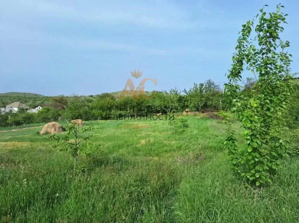 Участок в Крым, Феодосия муниципальный округ, с. Виноградное  (6.6 ... - Фото 1