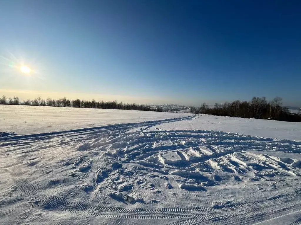 Участок в Иркутская область, Иркутский муниципальный округ, д. ... - Фото 2