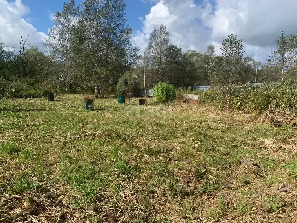 Участок в Сахалинская область, Южно-Сахалинск Ромашка СНТ, 16 (8.6 ... - Фото 1