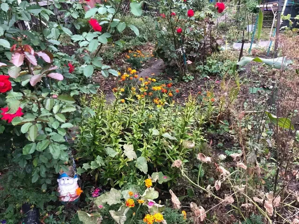 Дом в Калининградская область, Багратионовский муниципальный округ, ... - Фото 2