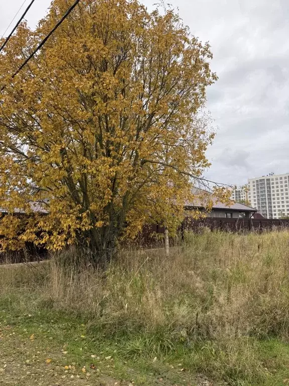 Участок в Ленинградская область, Ломоносовский район, Аннинское ... - Фото 2