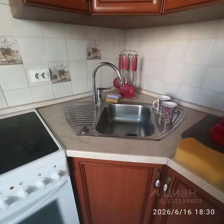 1-к кв. Рязанская область, Рязанский муниципальный округ, с. Дядьково ... - Фото 2