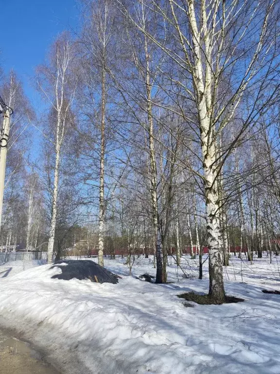 Участок в Московская область, Раменский муниципальный округ, Обухово ... - Фото 1