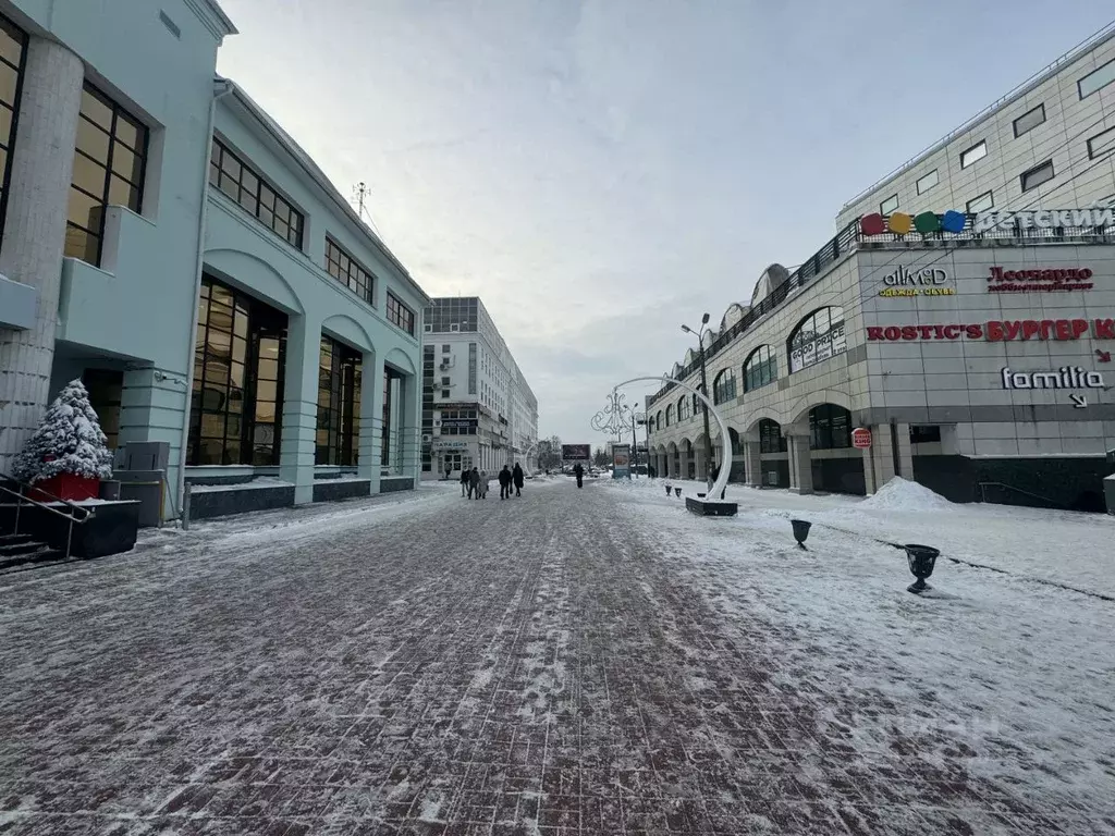 Офис в Тверская область, Тверь Трехсвятская ул., 6к1 (15 м) - Фото 2