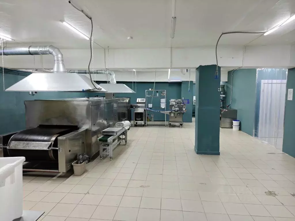 Производственное помещение в Свердловская область, Екатеринбург ул. ... - Фото 1