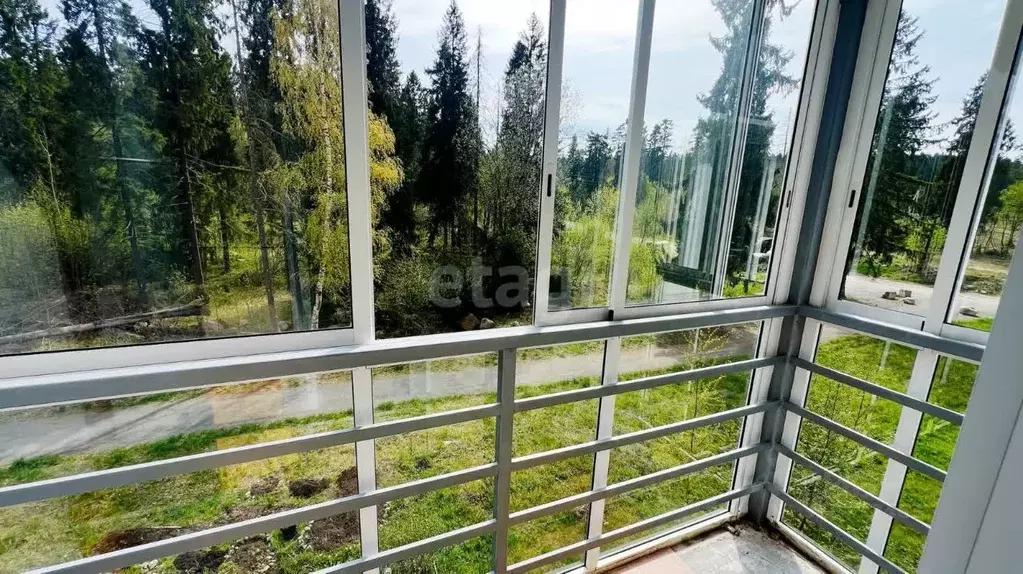 1-к кв. Карелия, Петрозаводск ул. Белинского, 17А (32.7 м) - Фото 0
