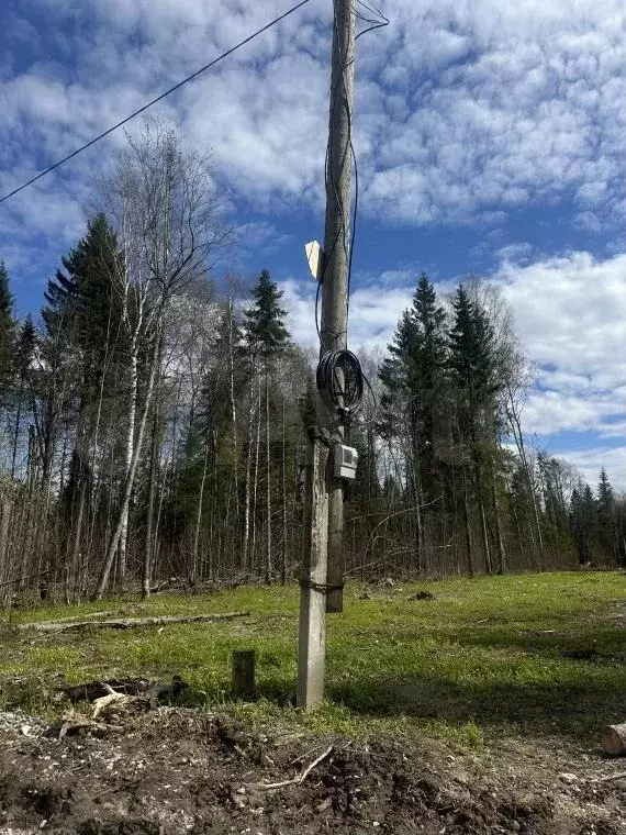 Участок 8,8 сот. (ИЖС) - Фото 1