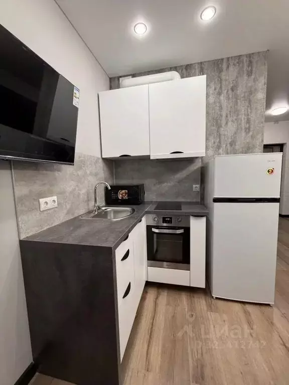 Студия Санкт-Петербург пос. Шушары, ул. Чудовская, 14к1 (30.0 м) - Фото 2