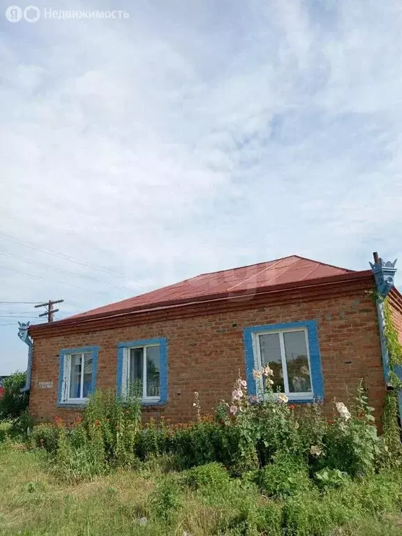 Дом в Называевский район, село Покровка (65.3 м) - Фото 1