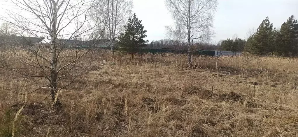 Участок в Московская область, Шатура муниципальный округ, д. ... - Фото 1