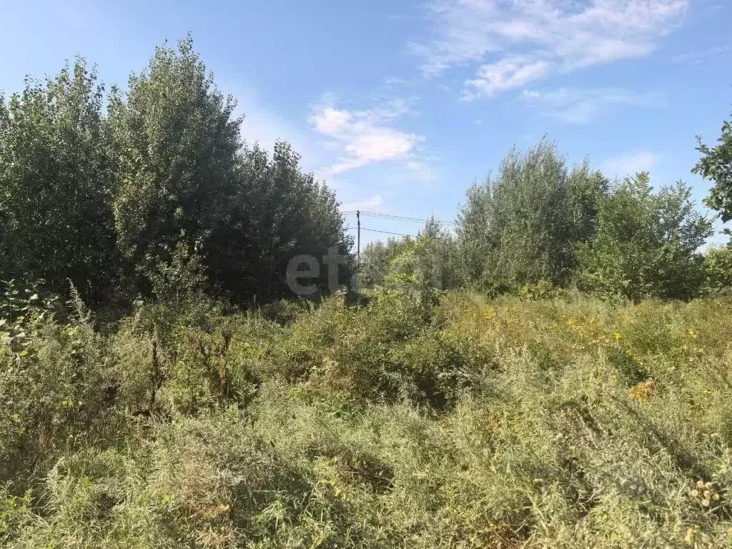 Участок в Амурская область, Благовещенск с. Верхнеблаговещенское,  ... - Фото 2