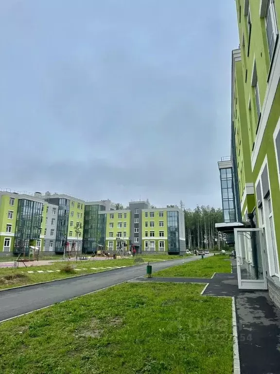 Торговая площадь в Ленинградская область, Сертолово Всеволожский ... - Фото 1