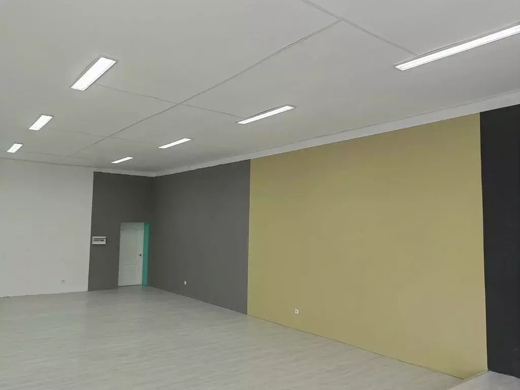 Помещение свободного назначения в Новосибирская область, Куйбышев ул. ... - Фото 2