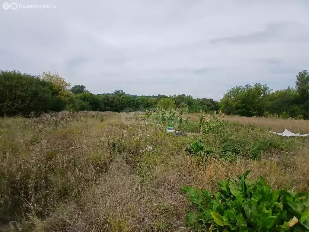 Дом в Самарино, Юбилейная улица (48.8 м) - Фото 1