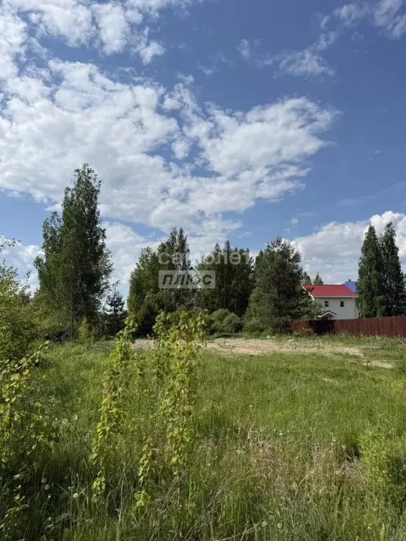 Участок в Ленинградская область, Тосно г. Тосненский район, Тосненское ... - Фото 1