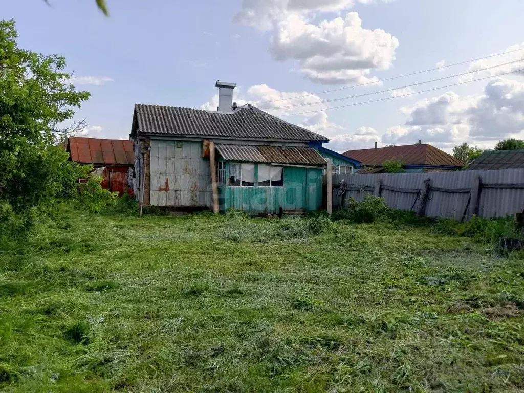 Дом в Воронежская область, Борисоглебский городской округ, с. ... - Фото 1