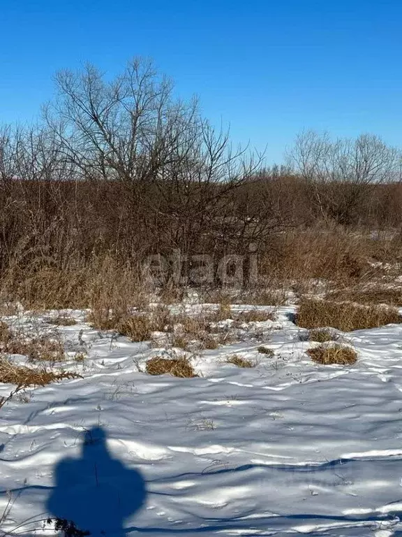 Участок в Амурская область, Благовещенск 5-я Стройка мкр,  (10.5 сот.) - Фото 0