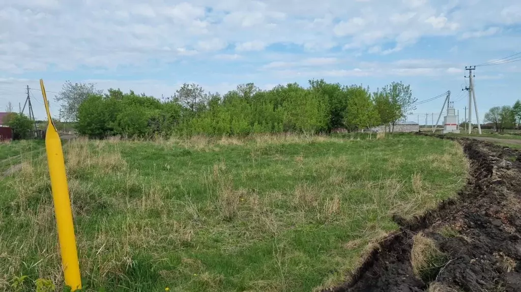 Участок в Челябинская область, Еткульский муниципальный округ, д. ... - Фото 2