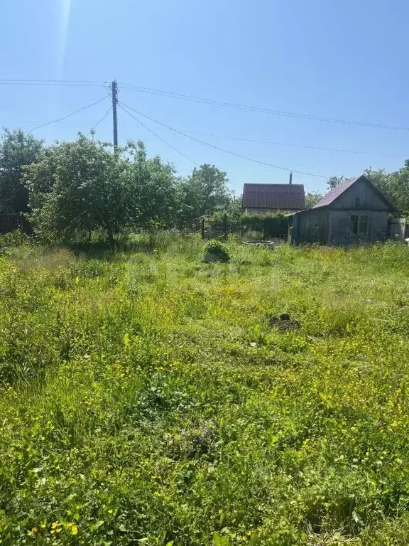 Участок в Калининградская область, Калининград 50 лет Октября СНТ, ул. ... - Фото 1