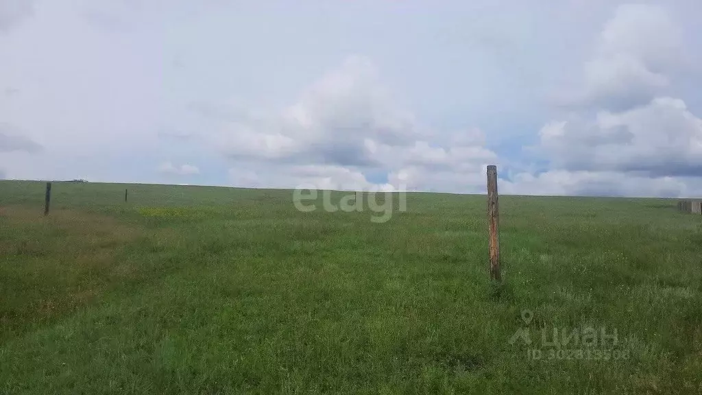 Участок в Иркутская область, Эхирит-Булагатский район, пос. ... - Фото 1