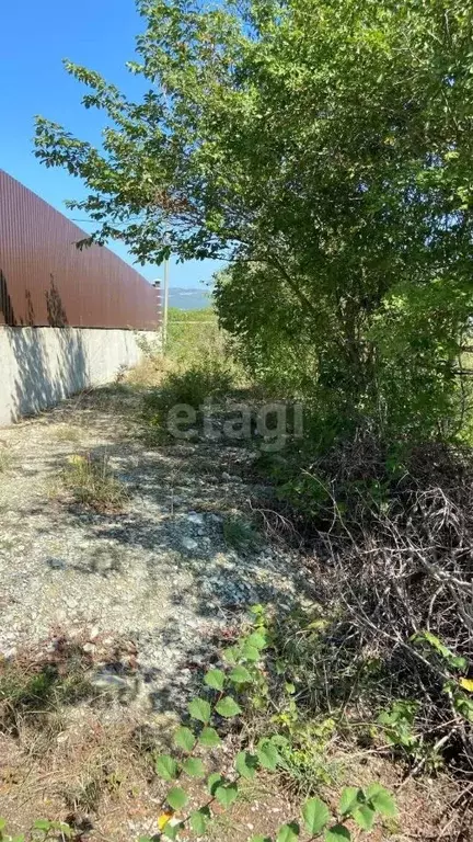 Участок в Краснодарский край, Новороссийск городской округ, с. ... - Фото 0