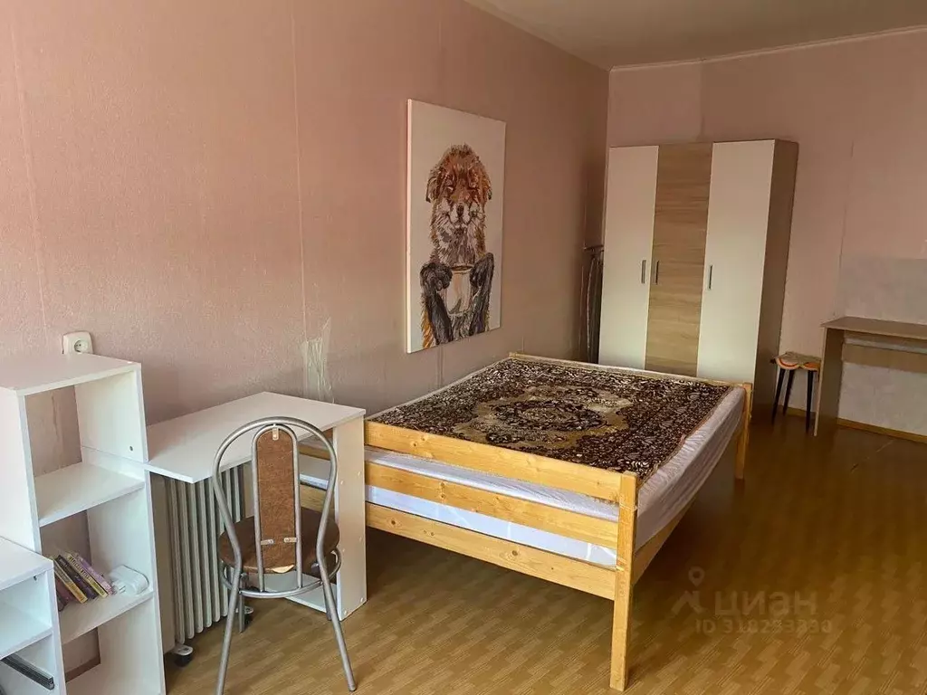 Комната Санкт-Петербург ул. Пионерстроя, 15К3 (18.0 м) - Фото 1