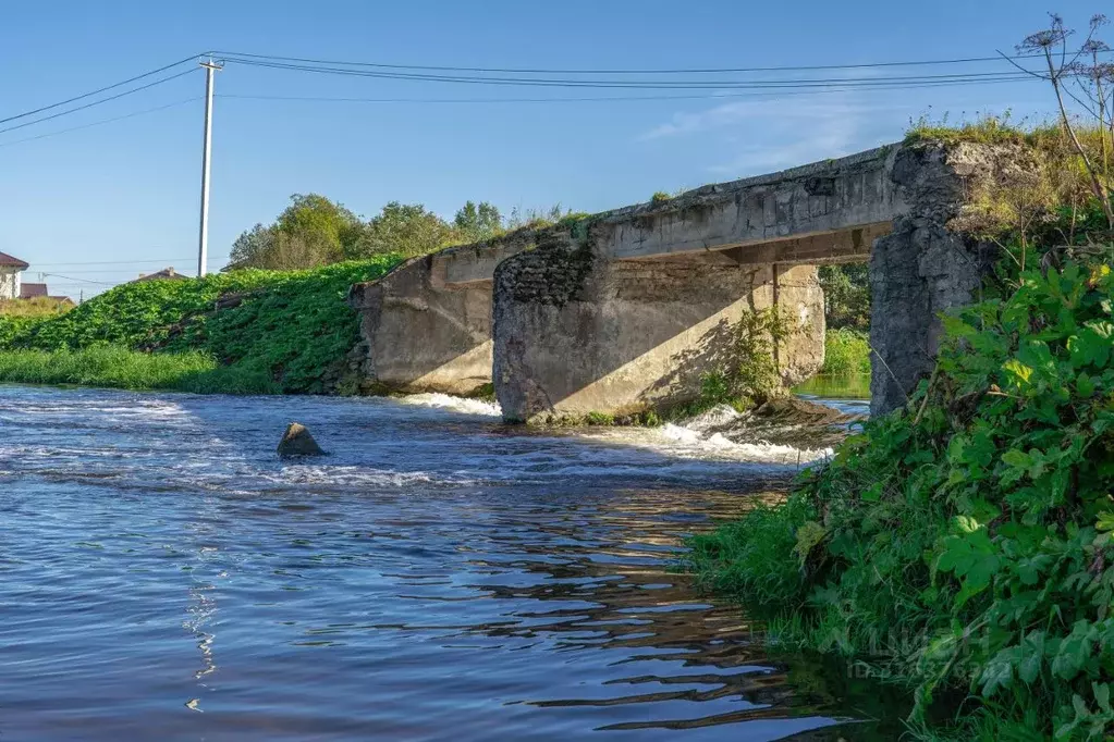 Участок в Ленинградская область, Тосненский район, Федоровское ... - Фото 2