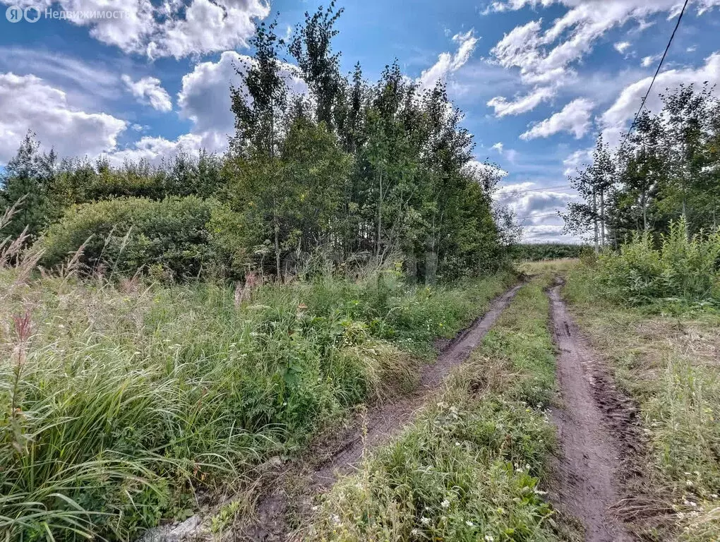 Участок в Виллозское городское поселение, садоводческое некоммерческое ... - Фото 1