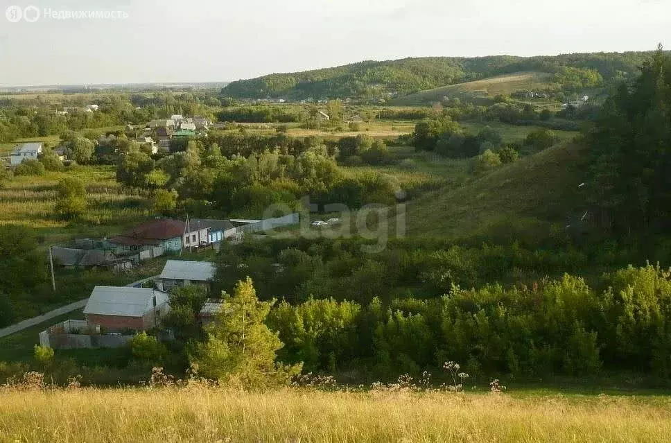 Дом в Белгородская область, Шебекинский муниципальный округ, село ... - Фото 1