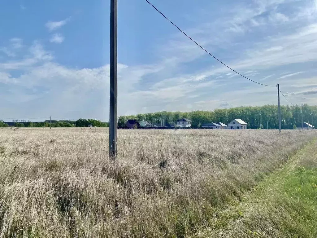 Участок в Липецкая область, Липецкий муниципальный округ, с. Большая ... - Фото 2