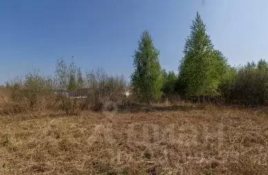 Участок в Тюменская область, Тюмень Садовое товарищество Липовый ... - Фото 1