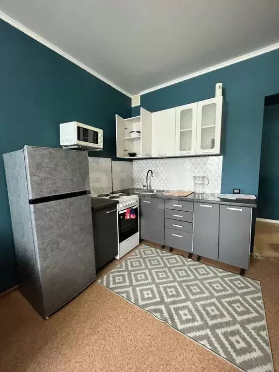 Студия Алтай, Майминский район, с. Майма ул. М. Глухарева (24.4 м) - Фото 1