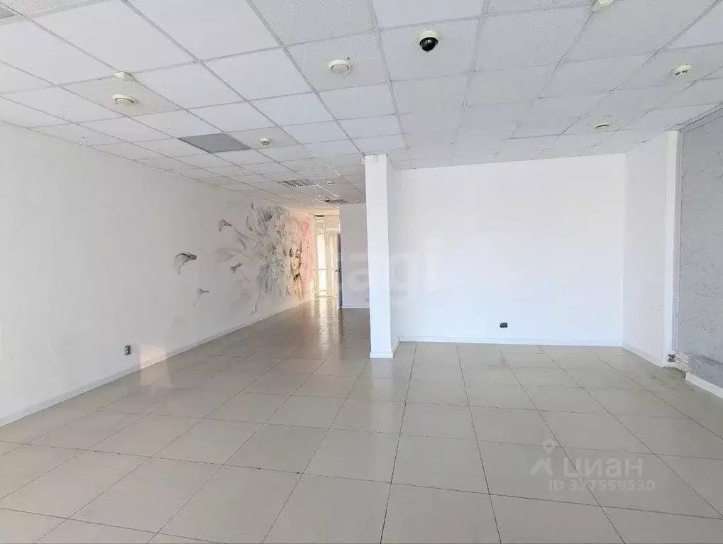 Помещение свободного назначения в Тюменская область, Тюмень ул. ... - Фото 1