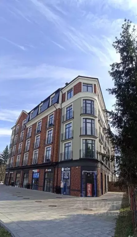 Свободной планировки кв. Калининградская область, Светлогорск ... - Фото 1