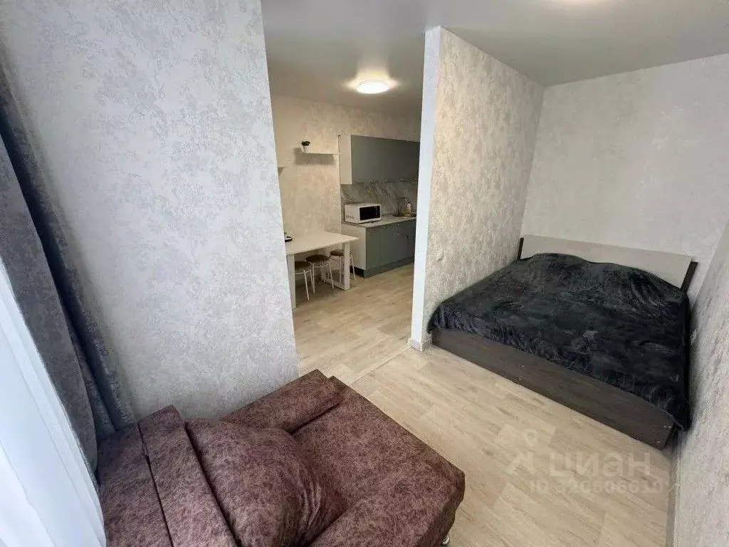 1-к кв. Тюменская область, Тюмень ул. Анатолия Клиндюка, 6 (25.0 м) - Фото 1