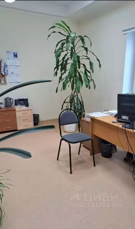 Помещение свободного назначения в Нижегородская область, Нижний ... - Фото 1
