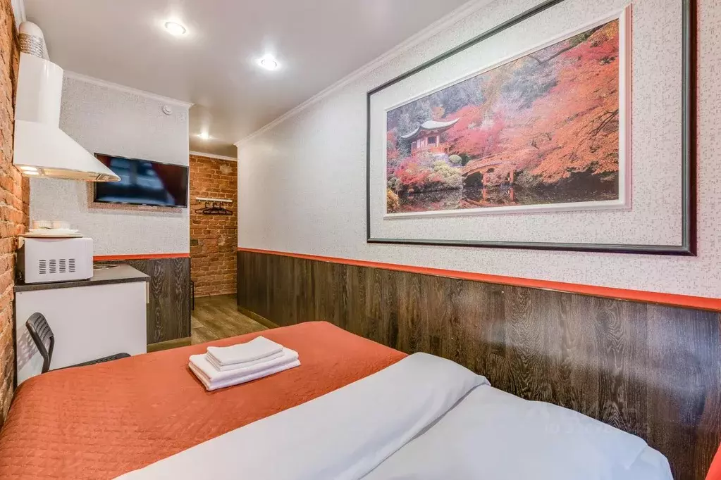 Студия Санкт-Петербург 8-я Советская ул., 10 (11.0 м) - Фото 2