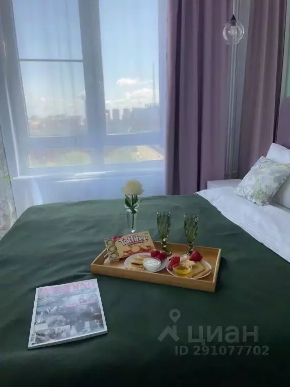 1-к кв. Нижегородская область, Нижний Новгород ул. Максима Горького, ... - Фото 2