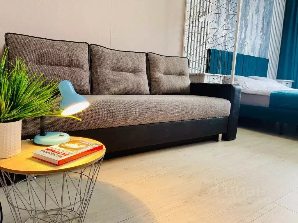 1-к кв. Московская область, Ногинск Богородский городской округ, ул. ... - Фото 2