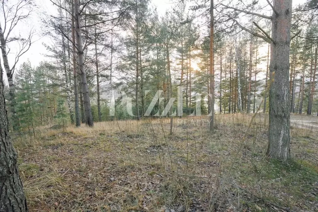 Участок в Ленинградская область, Всеволожский район, Бугровское ... - Фото 0