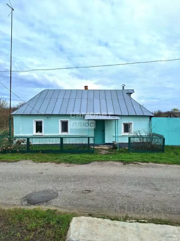 Дом в Липецкая область, Добровский муниципальный округ, с. Панино ул. ... - Фото 1