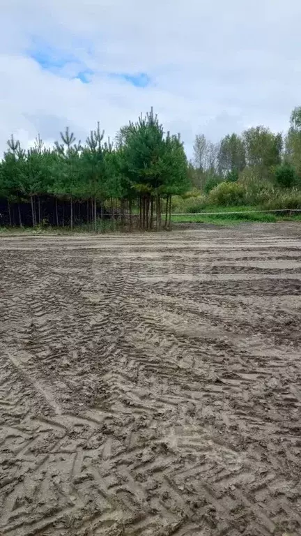 Участок в Тюменская область, Тюменский муниципальный округ, д. ... - Фото 1