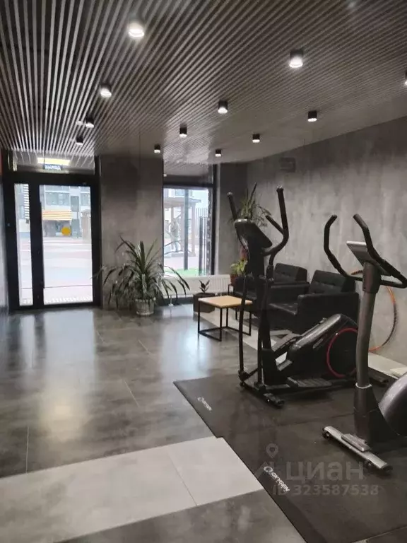 Студия Тульская область, Тула ул. Купцов Гречихиных, 10 (27.5 м) - Фото 1