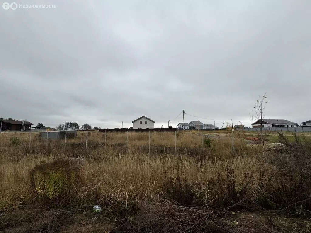 Участок в Нижегородская область, Богородский муниципальный округ, село ... - Фото 1