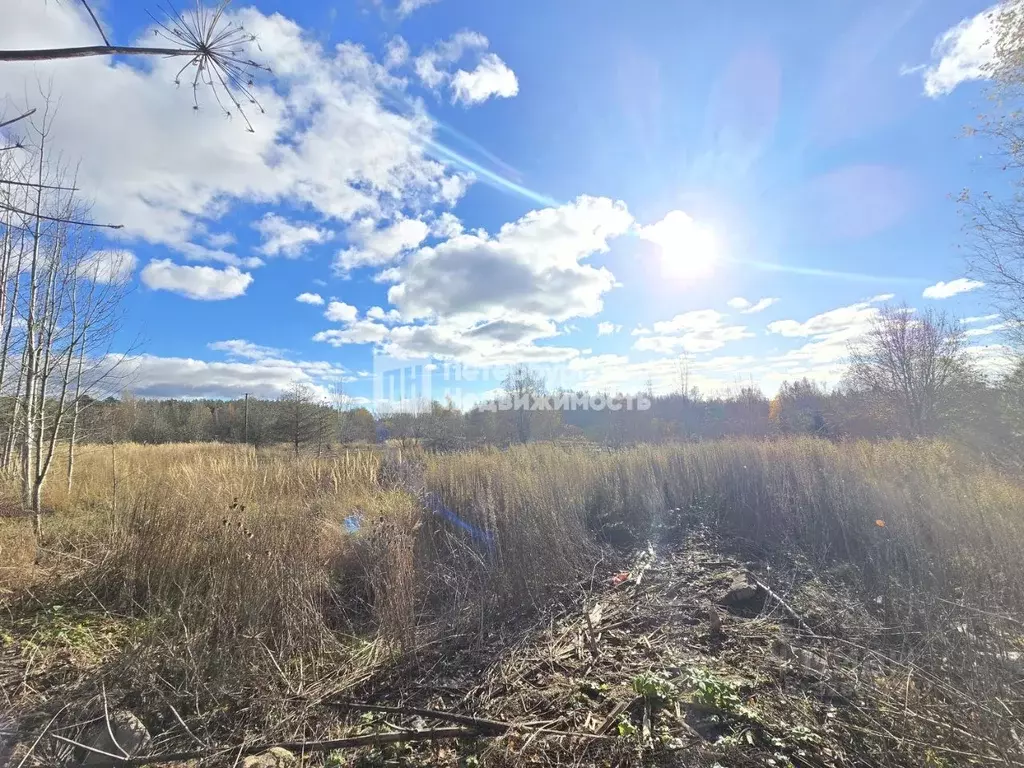 Участок в Ленинградская область, Выборгский район, Полянское с/пос, ... - Фото 1