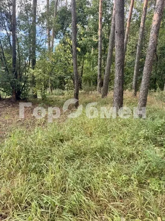 Участок в Московская область, Раменское ул. Грибоедова, 10 (7.52 сот.) - Фото 1